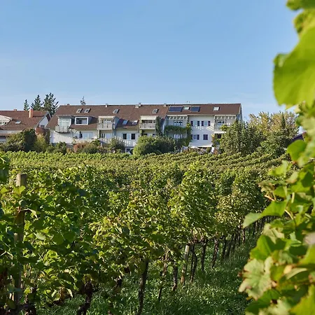 Weingut Deufel *