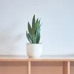 Apartman Weingut Deufel Lindau