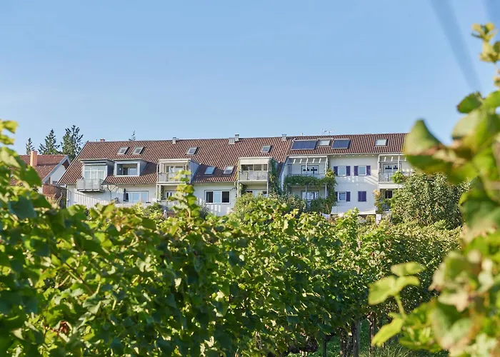 Weingut Deufel Apartment